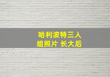 哈利波特三人组照片 长大后